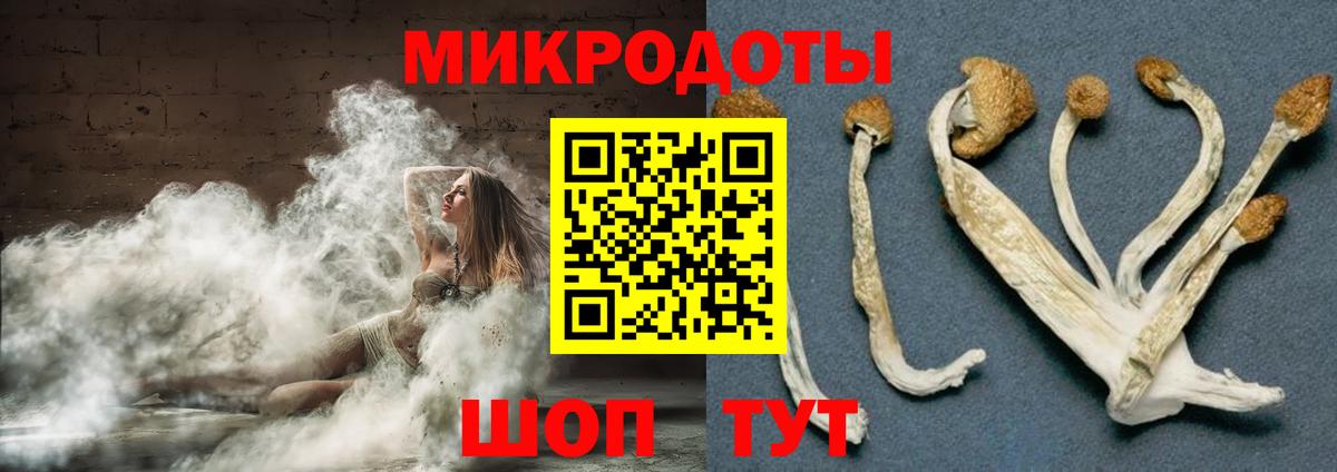 Псилоцибиновые грибы GOLDEN TEACHER Еманжелинск